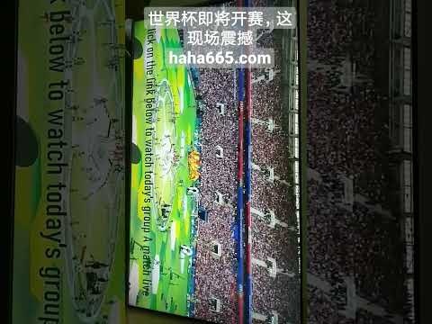 赛季欧洲冠,军联赛巴萨,参赛阵容揭,NG娱乐,NG娱乐真人,NG娱乐电子,NG大舞台